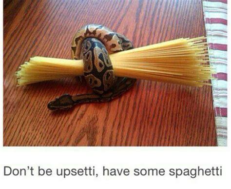 Here, Have Some Spaghetti