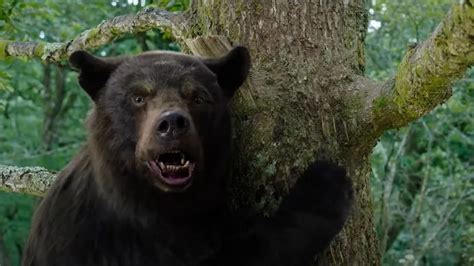 Is Cocaine Bear based on a true story? Wild real-life inspiration ...