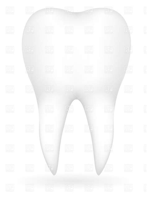 Tooth Vector at Vectorified.com | Collection of Tooth Vector free for ...