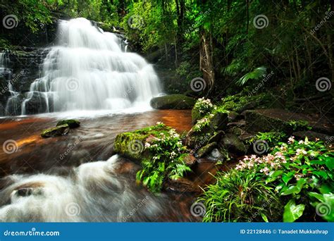 Waterfall in deep forest stock photo. Image of summer - 22128446