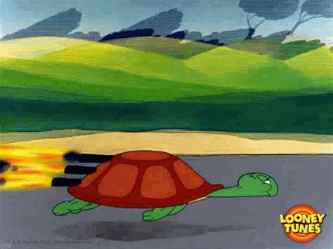 Turtle-fast GIFs - Get the best GIF on GIPHY