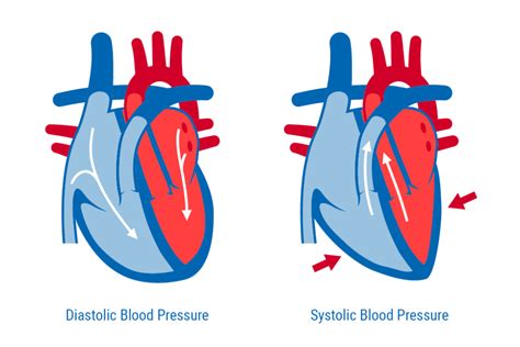 Systolic vs. Diastolic Blood Pressure - A&D Medical