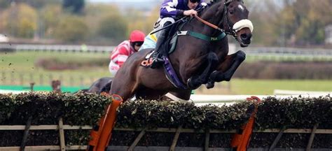 Horse Races At Wetherby Racecourse: Bet At The Best Odds