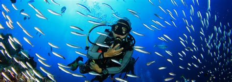 SCUBA Tours To Do & Experience | Activities on Oahu Hawaii