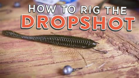 Drop Shot Rig: How To Rig the Drop Shot (Tutorial) - YouTube