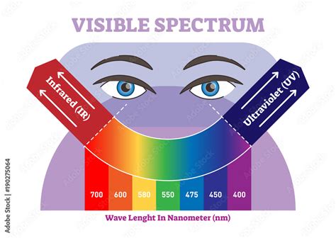 Visible spectrum vector illustration diagram, color scheme from ...