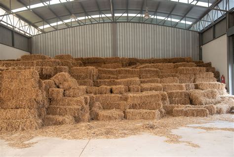 Upgrading Horse Hay and Shavings Storage | Stable Management