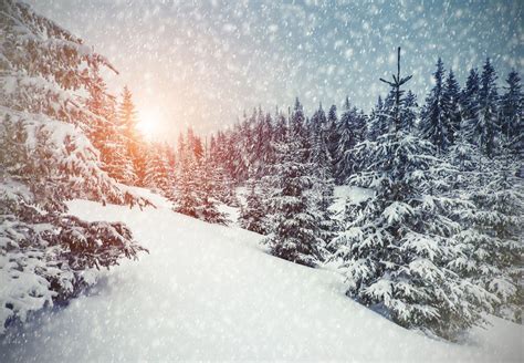 Winter Wonderland 4K Wallpapers - Top Những Hình Ảnh Đẹp