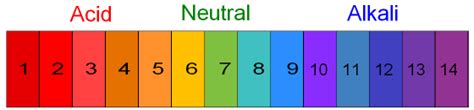 Measuring pH Levels in Hydroponics | PowerHouse Hydroponics