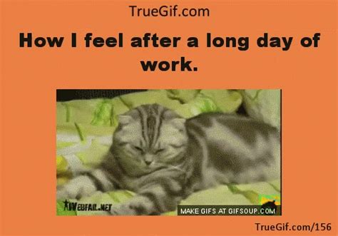 Long Day Kitten GIF - LongDay Kitten AfterALongDayOfWork - Discover ...