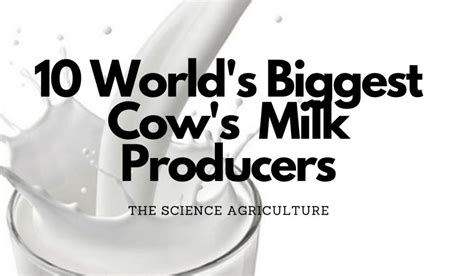 10 World’s Biggest Cow’s Milk Producers - The Science Agriculture