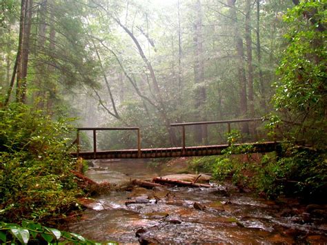 Panther Creek Trail | Chattahoochee national forest, Creek, Trail