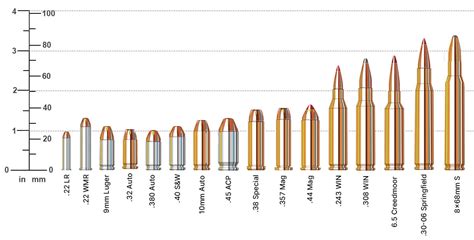 Ammo Caliber Size Chart Sportsman's Warehouse, 59% OFF