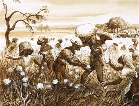 Cotton Plantations Slavery