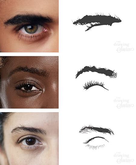 How to Draw Eyebrows: Step by Step Realistic Drawing Tutorial