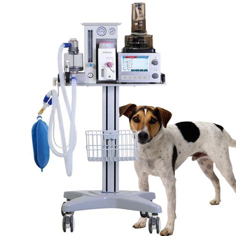 Veterinary Supply Companies Vet Equipment Veterinary Anesthesia Machine ...