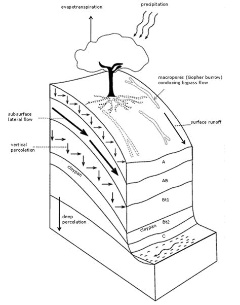 What’s the connection between soil and water? | ISRIC World Soil Museum