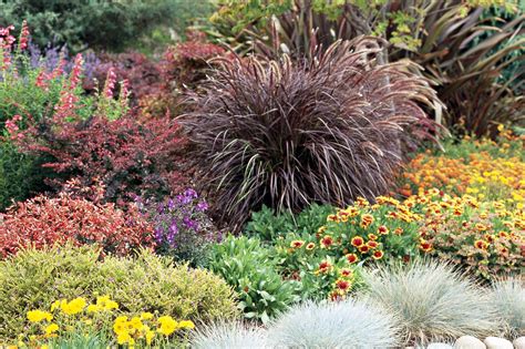 21 of the Best Ornamental Grasses to Add Unbeatable Texture to Your ...