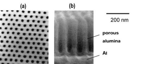 Innovative Surface Solutions: Hybrid Sol-Gel Coatings Unveiled