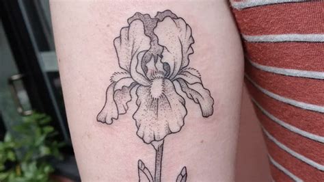 Iris Flower Tattoo Designs | Best Flower Site