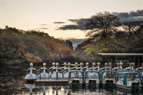 Inokashira Park: Your Ultimate Photo Guide