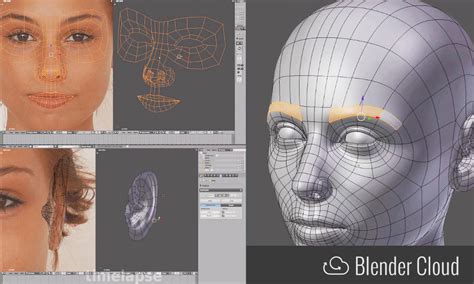 Tutorials — blender.org