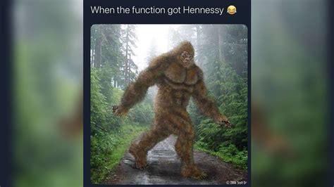 When The Function Got Hennessy | Know Your Meme