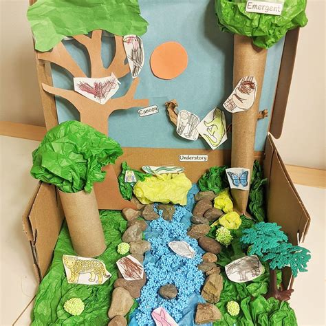 Rainforest Diorama - Raising Hooks | Habitats projects, Diorama kids ...