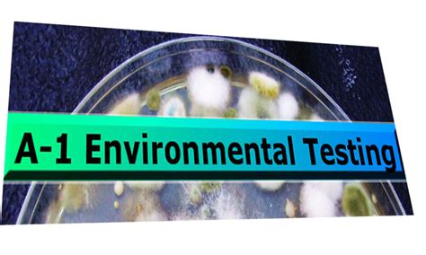 Black Mold Testing Los Angeles – A-1 Certified Environmental Services