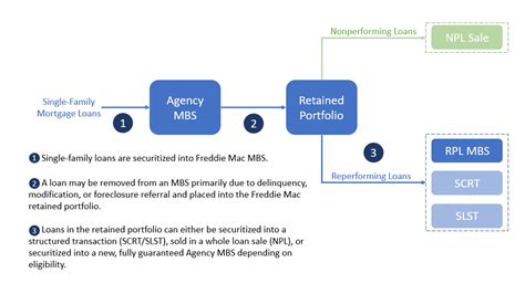 Re-Performing Loan MBS Offerings - Capital Markets