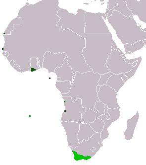 rival estrategia Promesa dutch colonies in africa Asesinar Oficial chupar