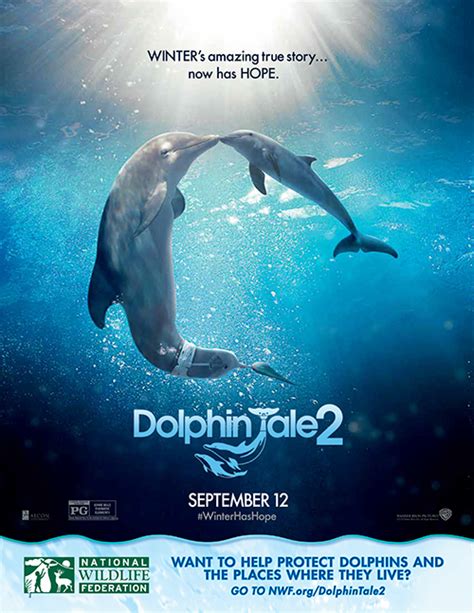 Dolphin Tale 2 Movie Trailer