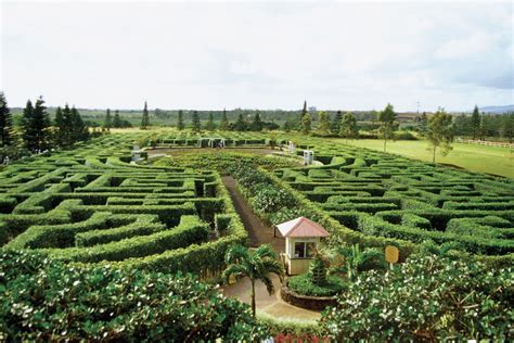 Guide to Visiting the Dole Plantation on Oahu