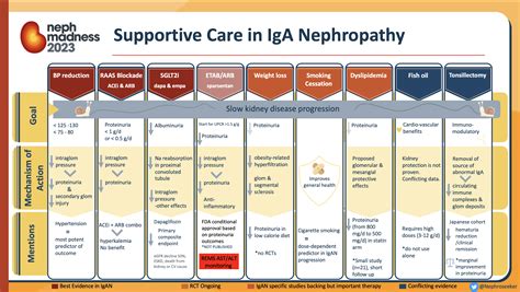 #NephMadness 2023: IgA Nephropathy Region | LaptrinhX / News