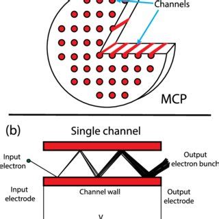 A schematic diagram of an MCP. (a) Shows the whole MCP, consisting of ...