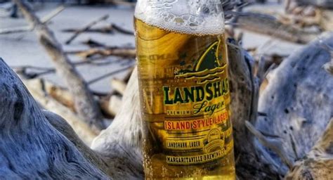 Landshark Beer Review: A Decent Beach Lager - The Beer Babe