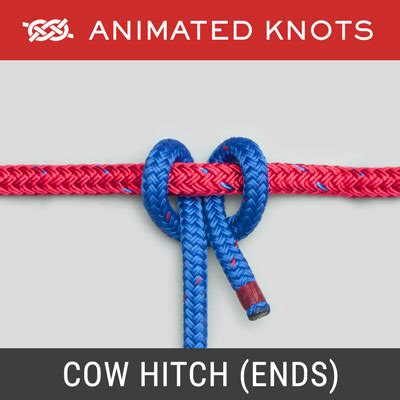 How To Tie A Double Cow Hitch - All About Cow Photos