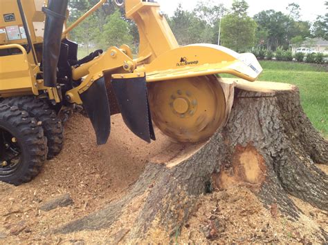 Aska Stump Grinding-Removal - Stump Grinding, Stump Removal