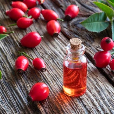 Here's Why I'm Obsessed With Rosehip Oil - Blufashion