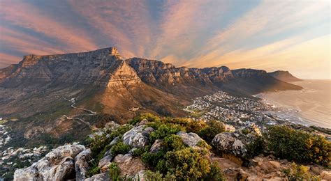 Everything You Need to Know about Table Mountain | City Pass Cape Town