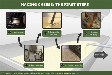 Making cheese - first steps — Science Learning Hub