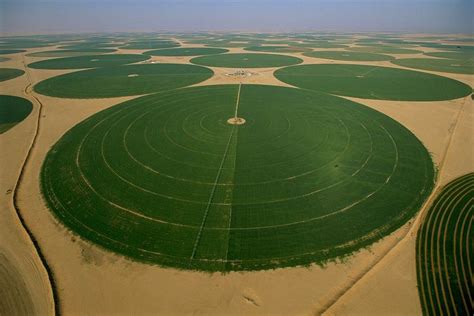 Rub al-Khali, Saudi Arabia. Lucerne fields in the desert. | Tabuk ...