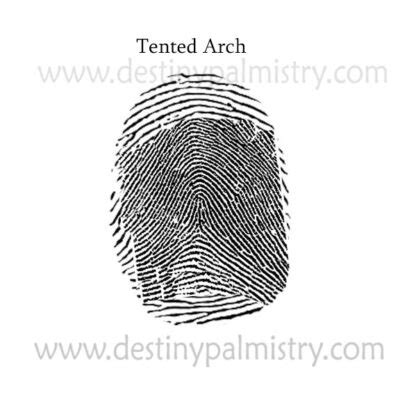 Tented Arch Fingerprint Meaning in Palmistry - Destiny Palmistry