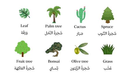 Names of plants in Arabic and English - Selfarabic