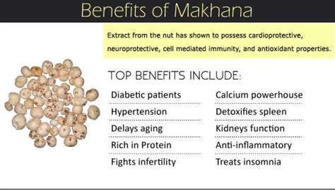 Top 10 Health Benefits of Makhana - Fox Nut, Phool Makhanas, Gorgon