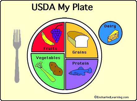 Food Groups and Food Pyramid: Food Theme Page at EnchantedLearning.com