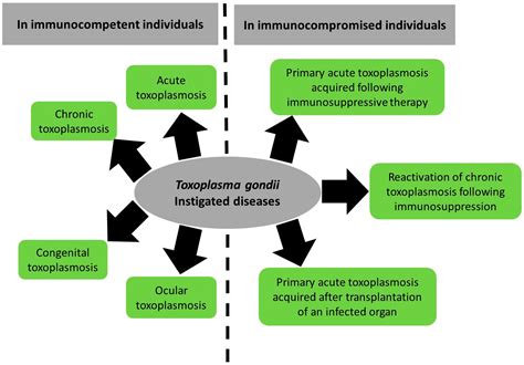 Toxoplasmosis Treatment