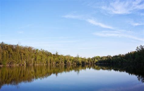 Crawford Lake - Nature @ McMaster