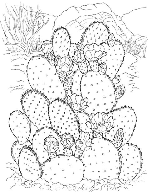 Free Printable Cactus Coloring Pages For Kids