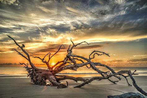 Walking on the beach on Jekyll Island, Georgia. | Jekyll island beach ...